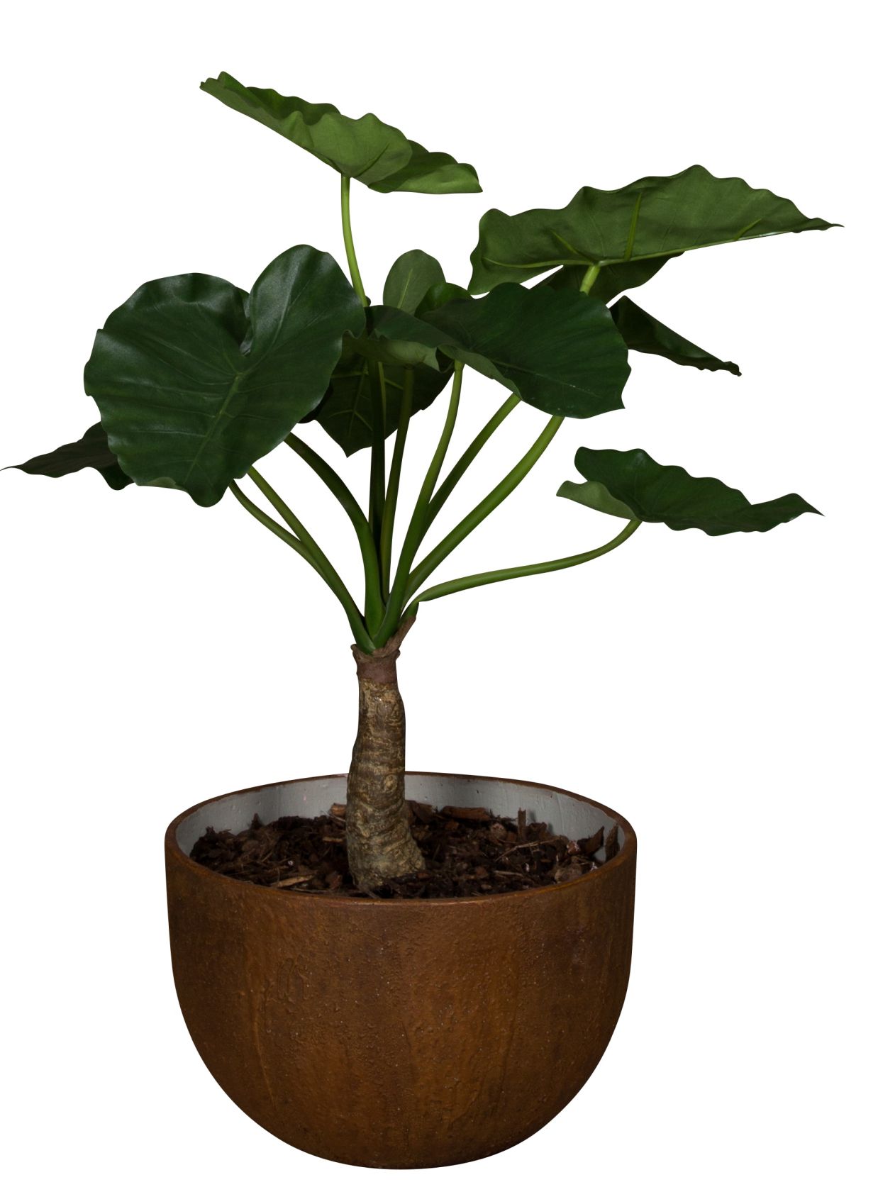 Medewi Alocasia 80 (Akasien) Artificial Plant Tanaman    